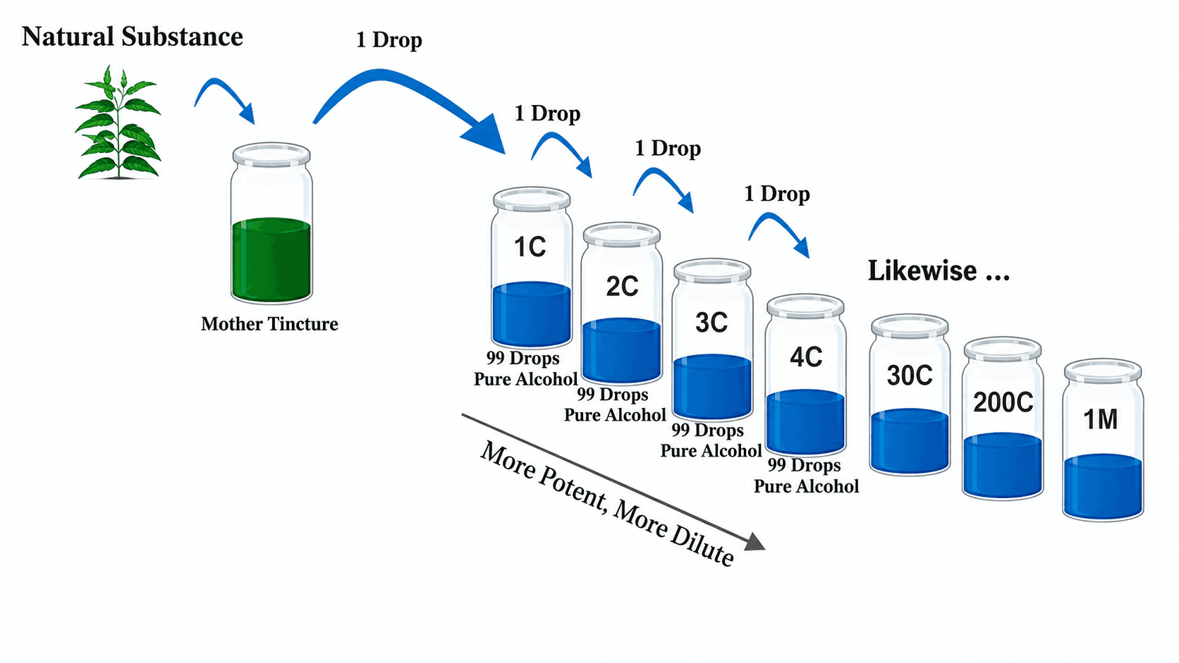 Homeopathic Potency Scales